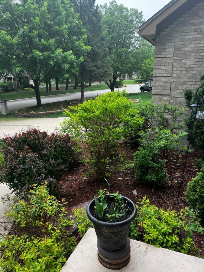 Quiet And Spacious Room1 Bolingbrook Exterior foto